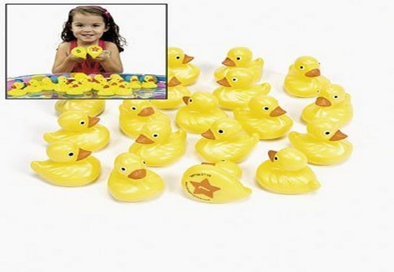 Fun Express Duck Matching Game (Set of 20 Rubber Duckies) Party Games - Image 1