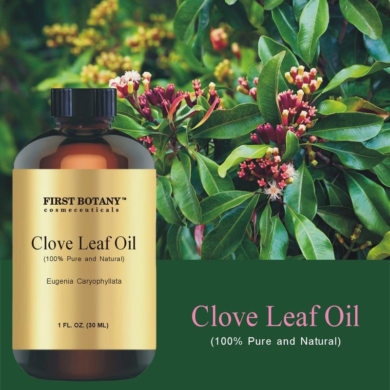 First Botany 100% Pure Clove Essential Oil - 1 fl oz (Clove) - Image 2