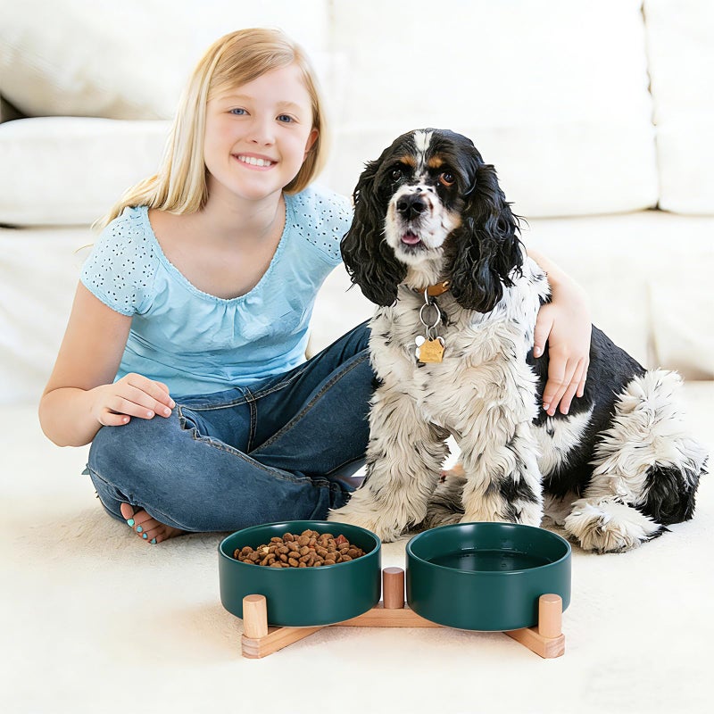 INNVVIS Ceramic Dog Bowl and Cat Bowls Set with 15Â° Adjustable Wood Stand, Non-Slip Weighted Pet Food and Water Bowls, Dual Raised Feeder for Small Dogs Cats, Matte Glaze Pet Dish 13.5oz Set of 2 (Green) - Image 1