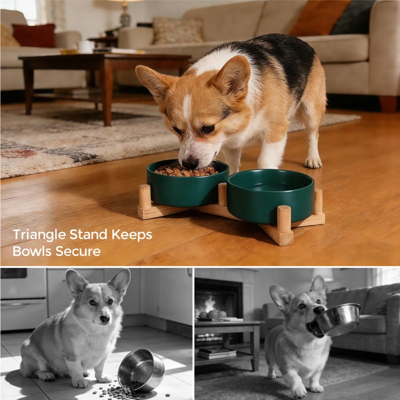 INNVVIS Ceramic Dog Bowl and Cat Bowls Set with 15Â° Adjustable Wood Stand, Non-Slip Weighted Pet Food and Water Bowls, Dual Raised Feeder for Small Dogs Cats, Matte Glaze Pet Dish 13.5oz Set of 2 (Green) - Image 3