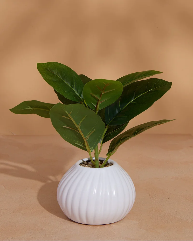 Redtag White Artificial Plants in Ceramic Planter – 25cm
