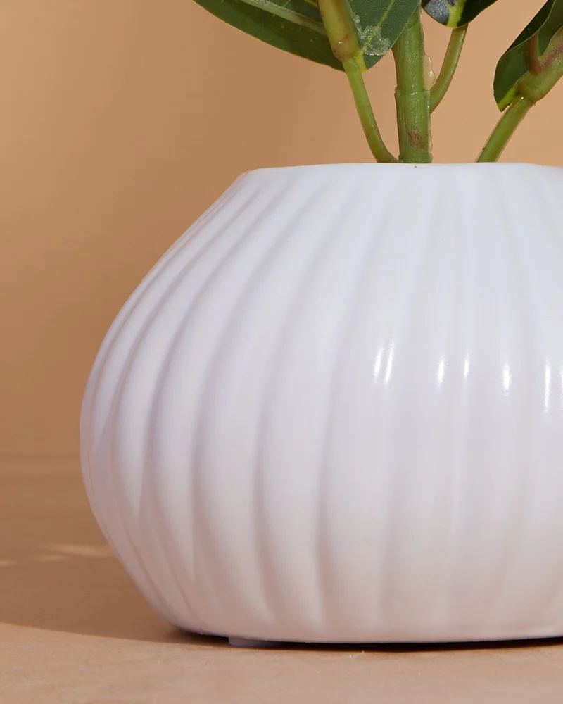 Redtag White Artificial Plants in Ceramic Planter – 25cm