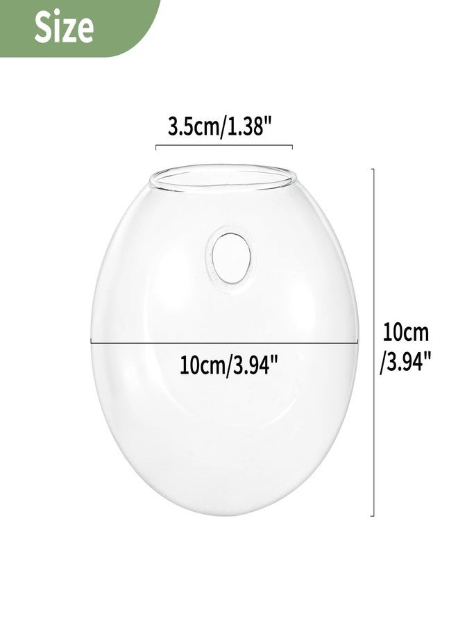 NUPTIO Wall Hanging Planters Terrarium: 4Pcs Clear Glass Wall-Mounted Vases for Indoor Office Garden Living Room - Oblate Plant Pots Hydroponic Containers Propagation Stations for Flowers - Image 5