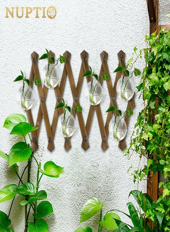 NUPTIO Wall Hanging Planters Terrarium: 4Pcs Clear Glass Wall-Mounted Vases for Indoor Office Garden Living Room - Oblate Plant Pots Hydroponic Containers Propagation Stations for Flowers - Image 4