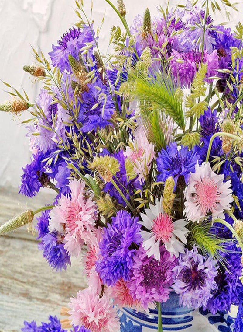 GGOOT 100Pcs Mixed Cornflower Seeds Exquisite Exotic Bouquets Adorn The Room Has Ornamental Value Easy Cultivation and Take Care - Image 2