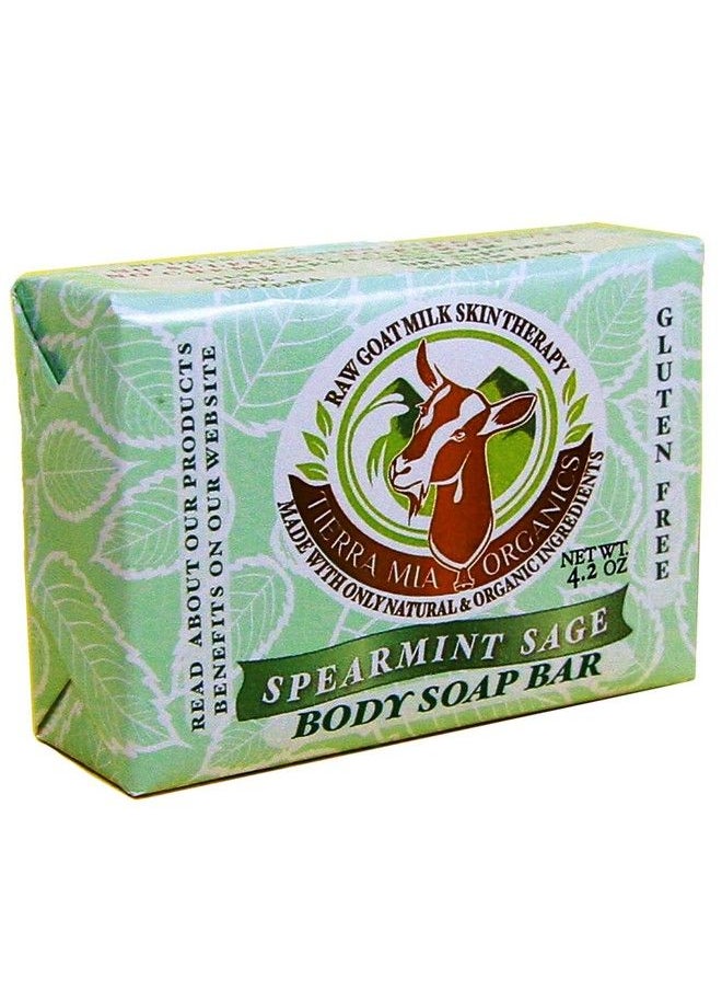 TIERRA MIA ORGANICS - Spearmint Sage Gentle Body Bar 3.8 Ounce - Image 1