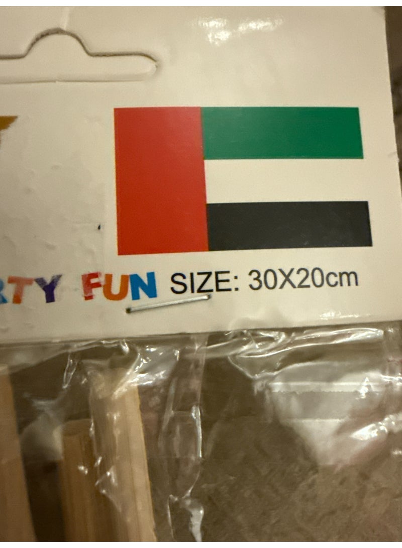 UAE National Flag (30×20 cm) with Wooden Stick - Image 3