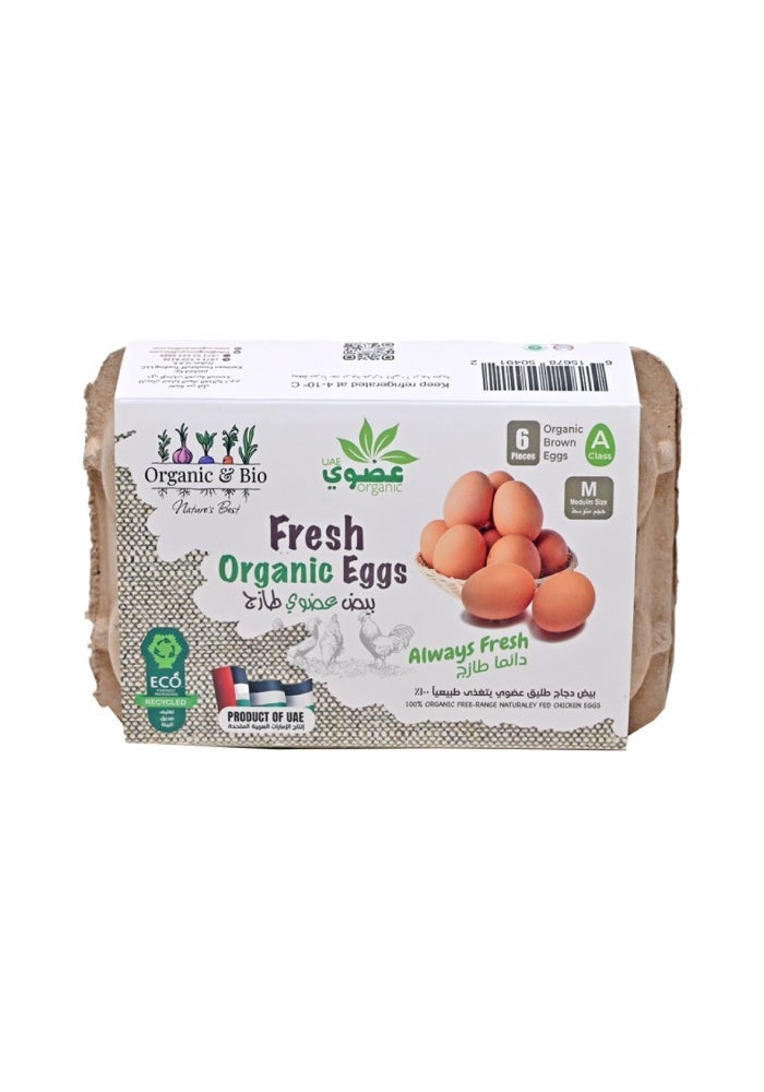 Eggs, Medium Brown - 6 eggs, UAE