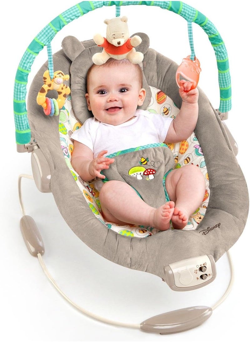 Winnie The Pooh Dots & Hunny Pots Bouncer - pzsku/Z7F463EC0F27BEFD5BA32Z/45/_/1699180106/dab4ca19-dbfc-4621-af68-e092b49389e5