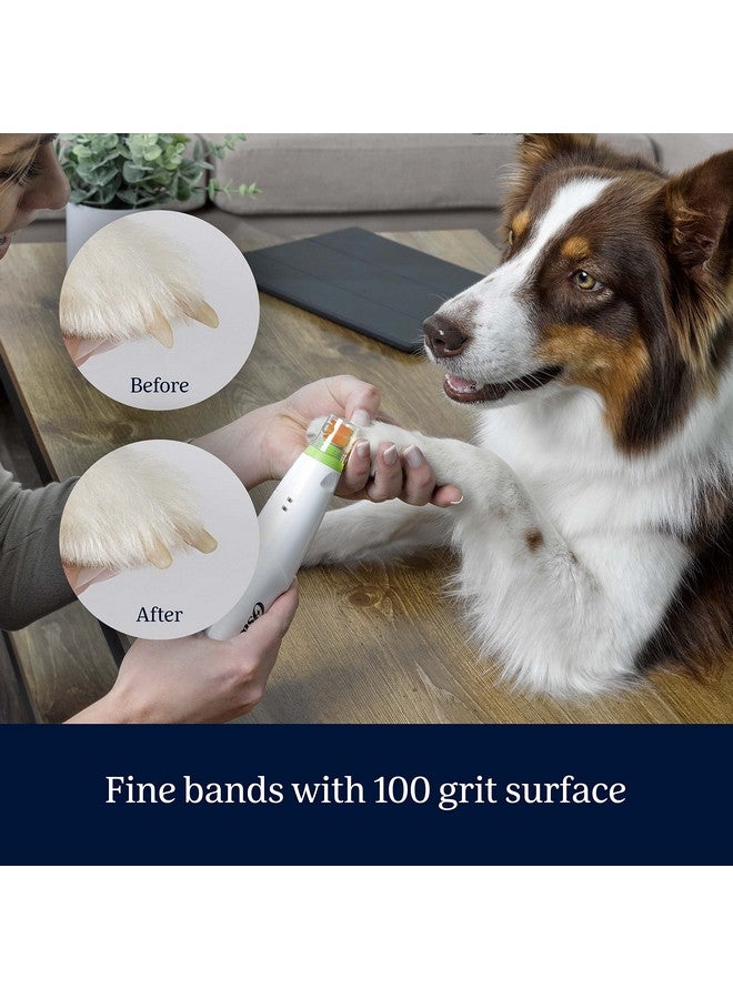 Oster Gentle Paws Pet Nail Grinder Replacement Kit - Image 5