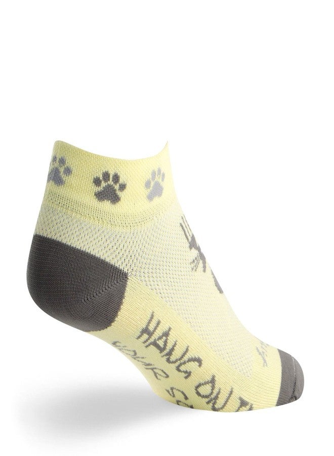 SockGuy Classic Scratch Womens Socks, cuff height 1", size S / M