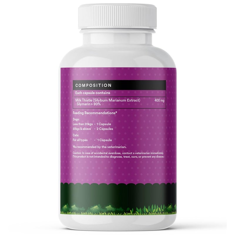 Inlife كبسولات حليب الشوك للكلاب والقطط | مكمل detox للكبد وصحة الكلى، 400 ملغ - 60 كبسولة نباتية - Image 4
