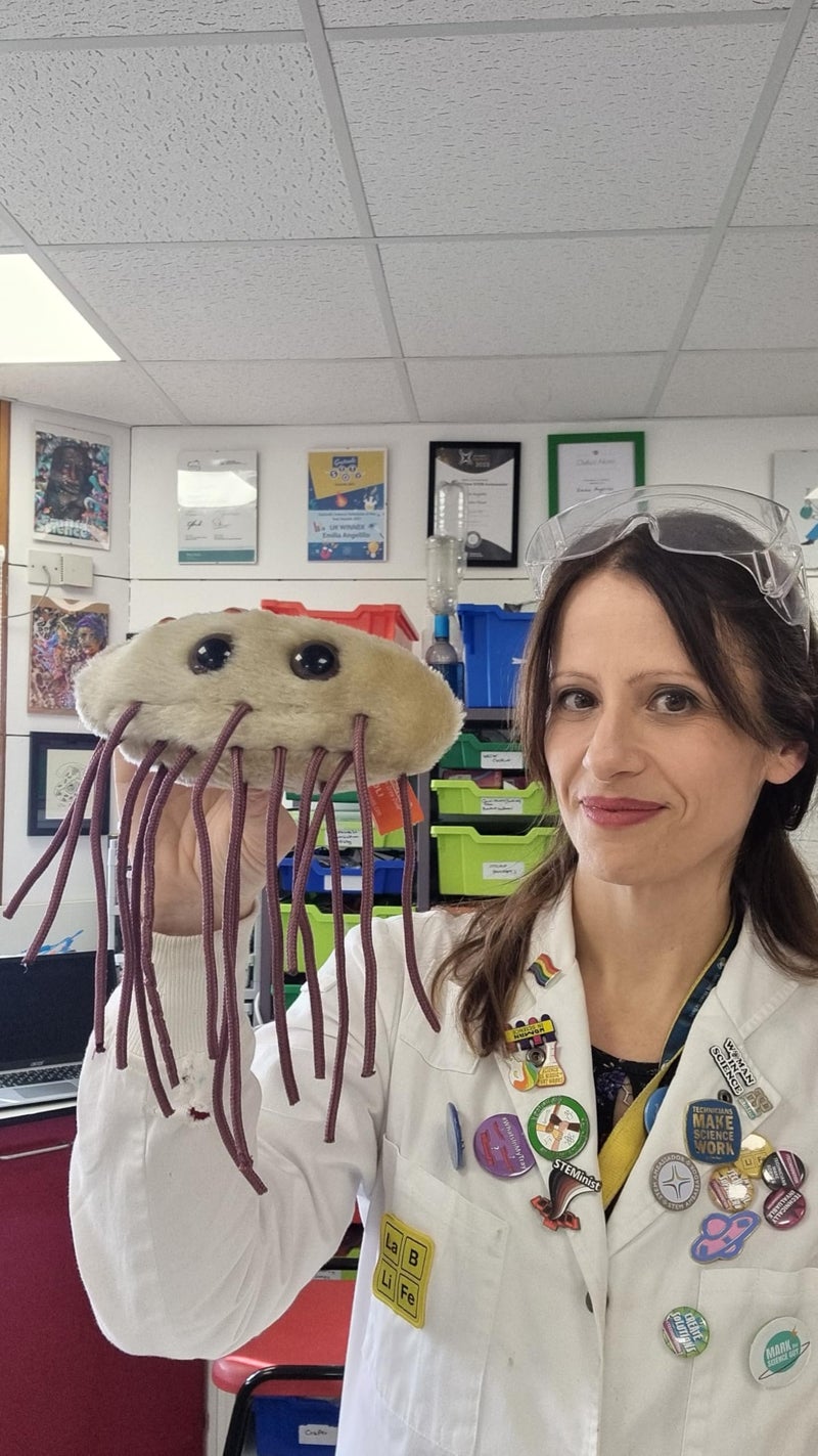 Giant Microbes GIANTmicrobes E. Coli Plush, Microbiology Gifts, Gastroenterologist Gift, Gastroenterology Gifts, Gut Microbiome, Medical Laboratory Scientists, Petri Dish - Image 5