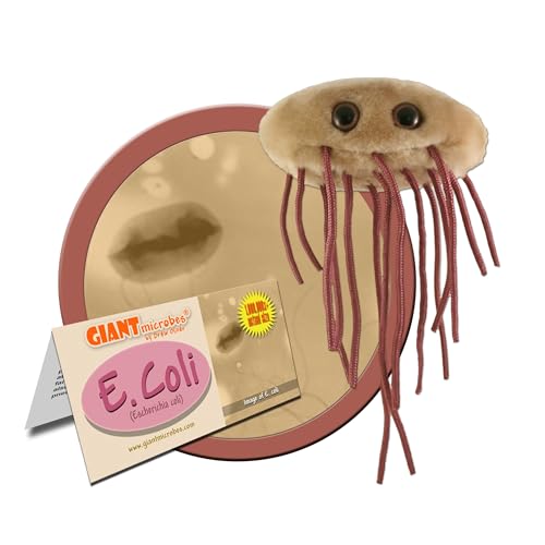 Giant Microbes GIANTmicrobes E. Coli Plush, Microbiology Gifts, Gastroenterologist Gift, Gastroenterology Gifts, Gut Microbiome, Medical Laboratory Scientists, Petri Dish - Image 2