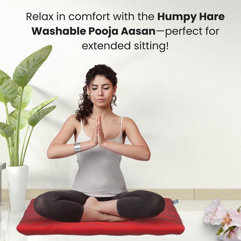 Humpy Hare Wasable Pooja Aasan for HomeGhar Mandir Floor Sitting Mat for Katha Havan Prayer Yoga Dinner Long Time Comfort for Shaadi Super Soft Microfiber Feeling 29x29 - Image 3