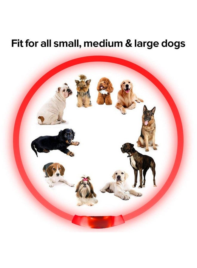 BSEEN Led Dog Collar, BSEEN USB Rechargeable Flash Dog Necklace Light, Pet Safety Collar Makes Your Beloved Dogs Be Seen at Night for Small Medium Large Dogs(Red) - Image 2