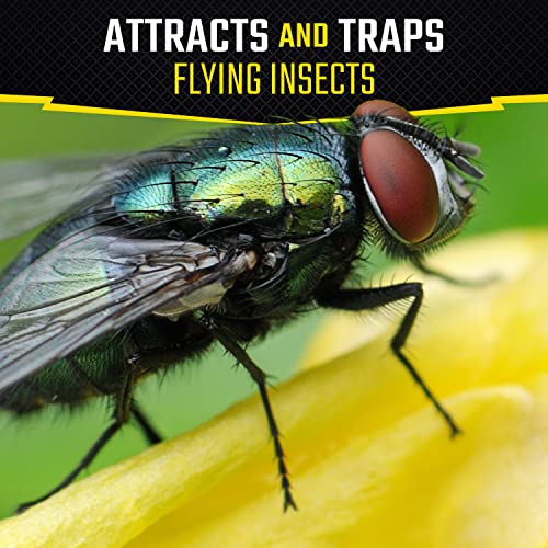Black Flag Fly Stick Insect Trap, 1 ct - Image 4