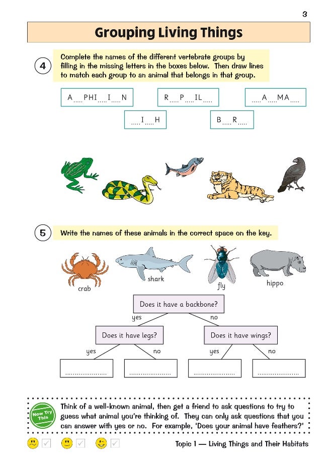 null - KS2 Science Year 4 Targeted Question Book (includes answers) - Image 1