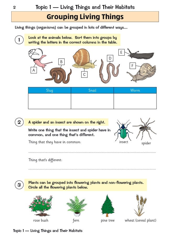 null - KS2 Science Year 4 Targeted Question Book (includes answers) - Image 1
