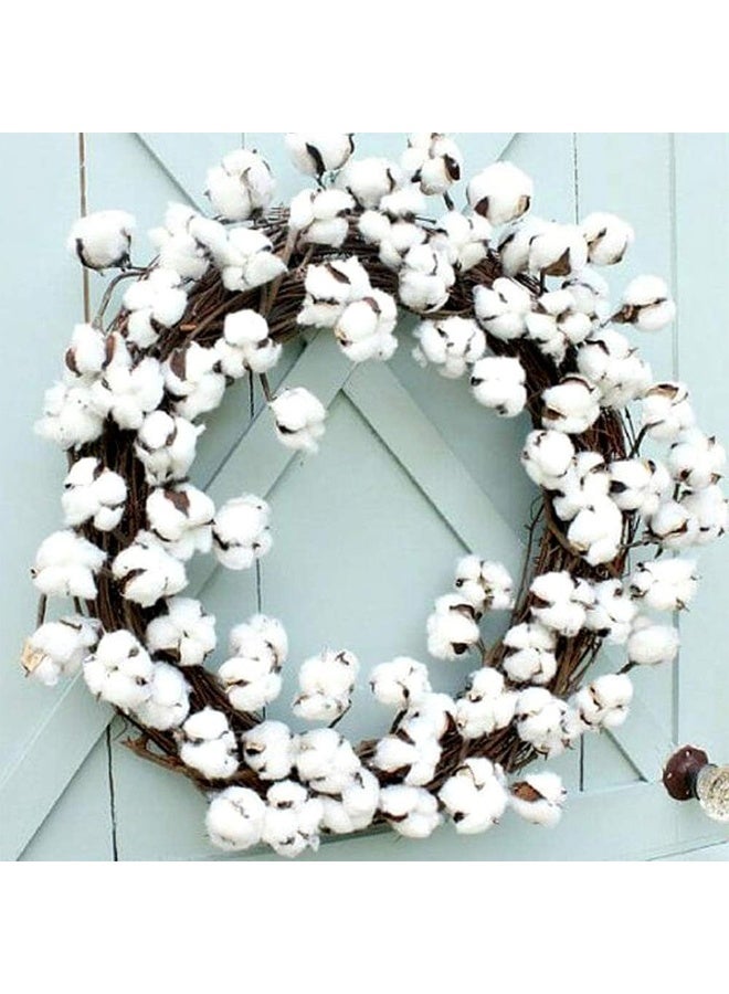 DUNISO 3 Pcs Cotton Stems，30 Balls Cotton，Flowers Plant Natural Dried Floral，Arrangement for Farmhouse Home Table Vase Filler Party DIY Wreath Decor (22 Inch)  - Image 3