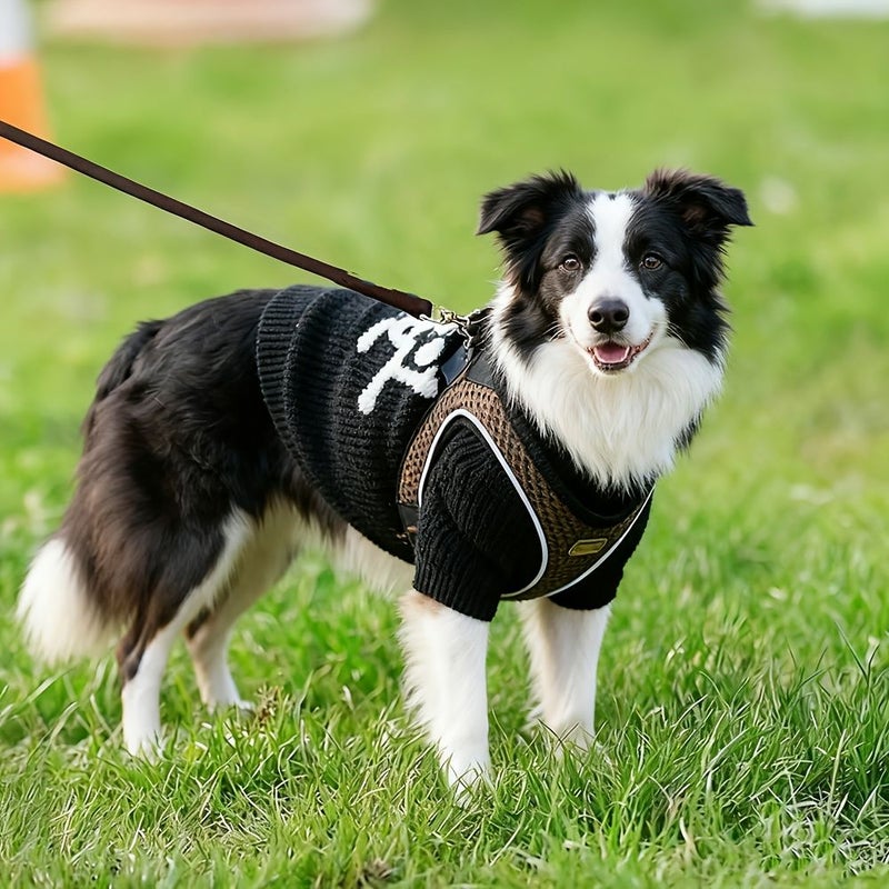 Black Leather Dog Leash For Small And Medium Dog Outdoor Training Walking - Image 5