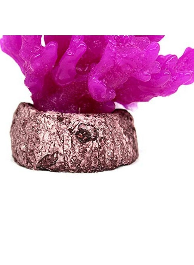 Emily Pets Artificial Seaweed Water Plants For Aquarium Decorations (Purple, Height:7.5 Cm) - Image 3