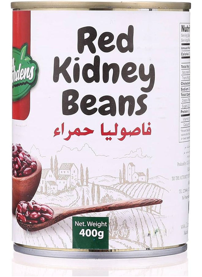 فاصوليا حمراء 400 مل - pzsku/Z7F4EDB087FFD39854A40Z/45/_/1726475900/dc96b2b4-970a-4ace-9f3b-005317083858