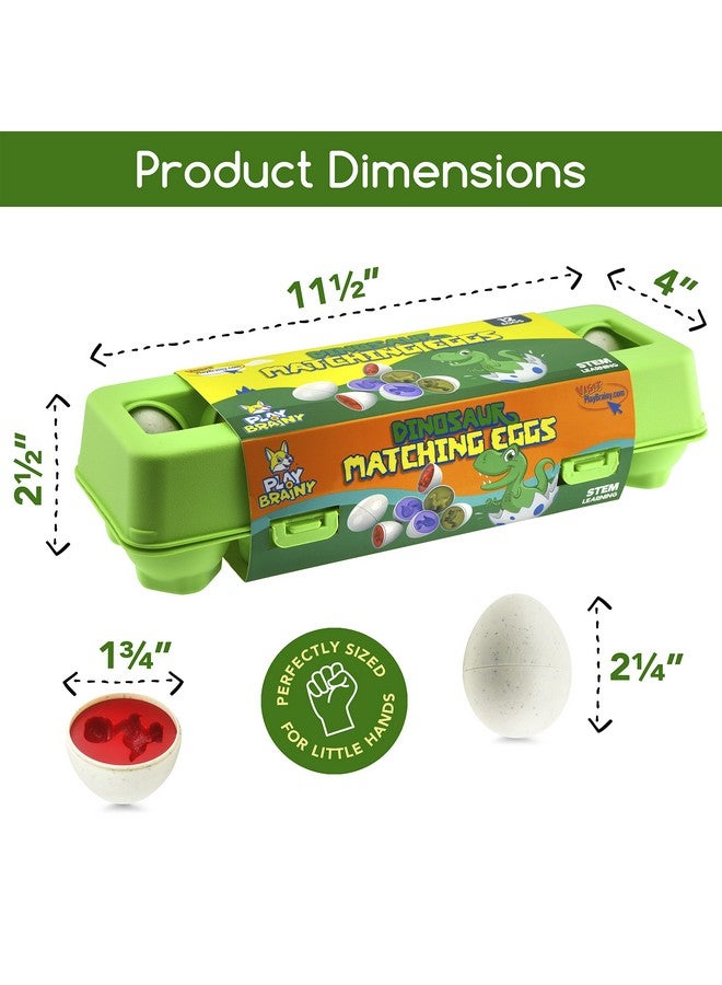 Play Brainy Play Brainy Dinosaur Matching Eggs for Toddlers, 12 Pc. Set, Colorful Early Learning and Educational STEM Fun Teaches Colors and Shapes, Sorting and Fine Motor Skills, Recognition, Easter Gift  - Image 5