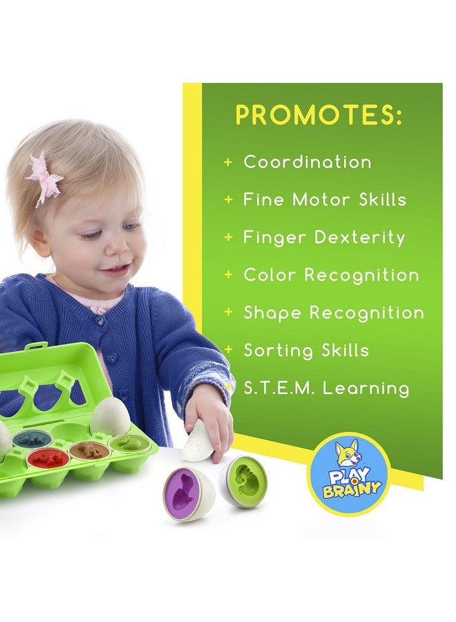Play Brainy Play Brainy Dinosaur Matching Eggs for Toddlers, 12 Pc. Set, Colorful Early Learning and Educational STEM Fun Teaches Colors and Shapes, Sorting and Fine Motor Skills, Recognition, Easter Gift  - Image 3