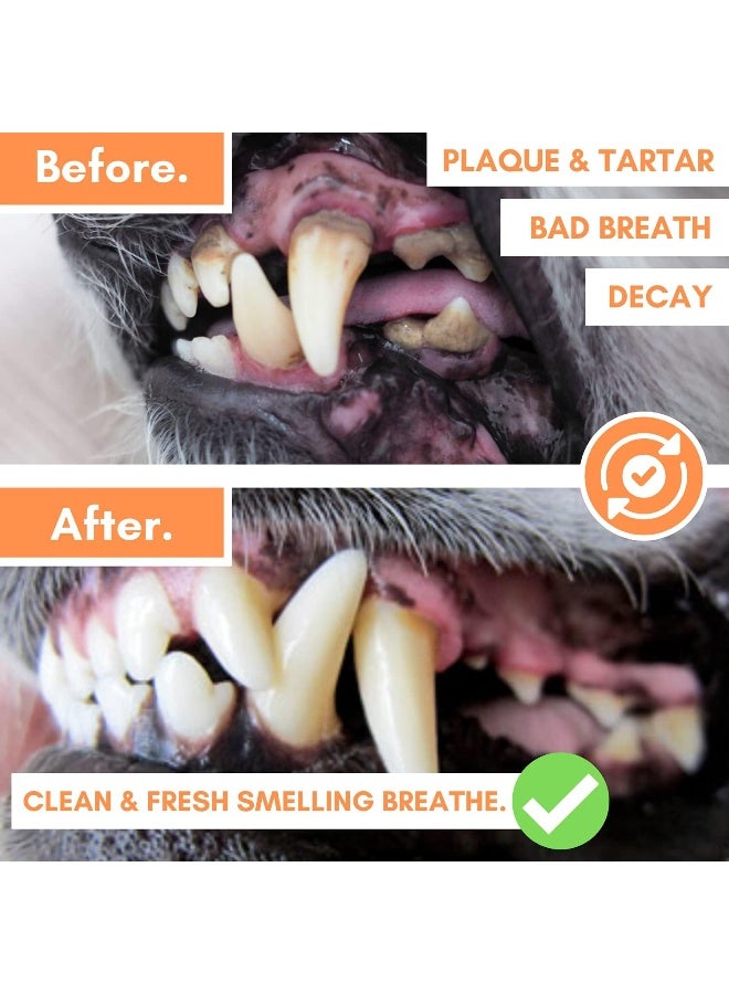 DogsLife Silicone Finger Dental Brushes Dog 5pcs - Image 3