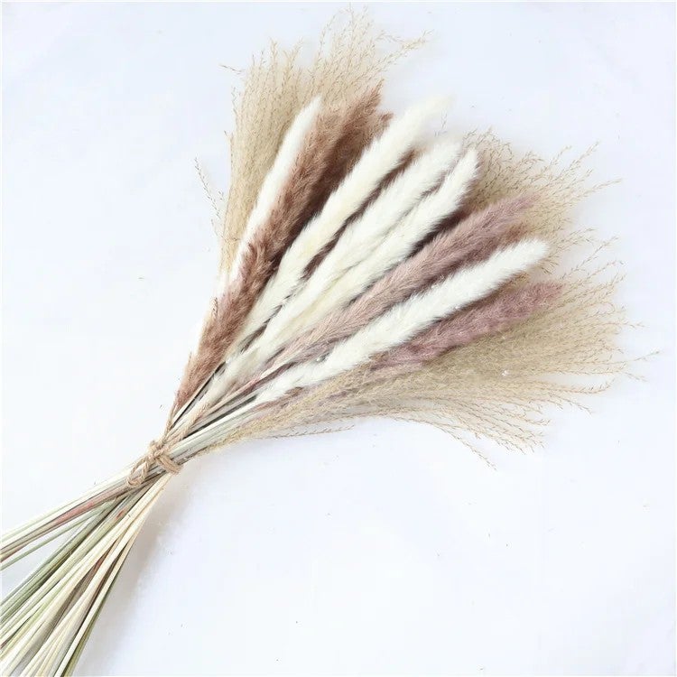 Bluejw H05182 Boho Wedding Decor: Natural Dried Palm Leaves, Bunny Tail Grass, Pampas Grass Floral Bouquet - Dried Plants for Home & Events - Image 1