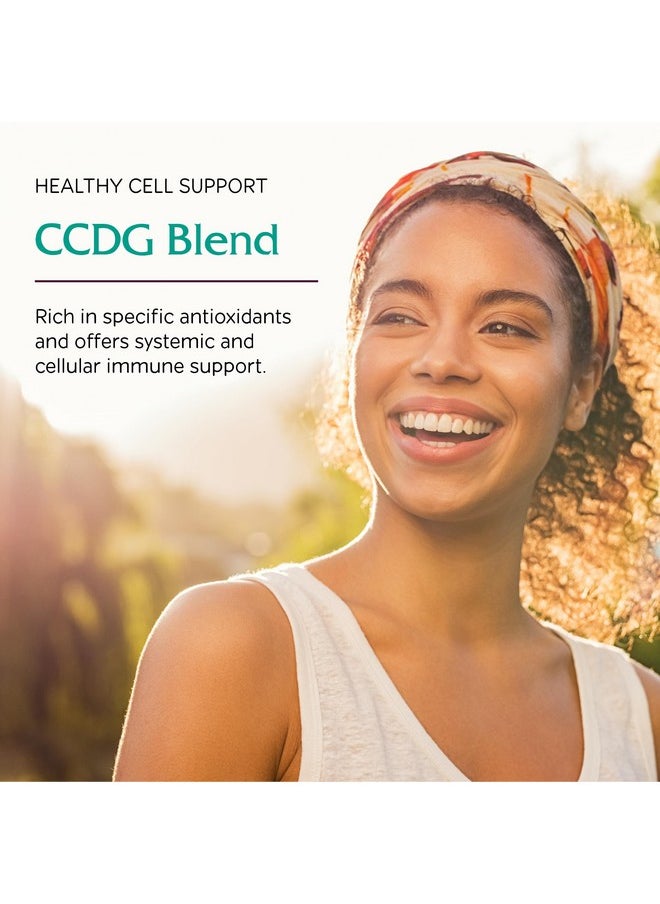 Vitanica Vitanica CCDG Blend - Immune Support Supplement - DIM Supplement with Turkey Tail Mushroom, Turmeric & Green Tea - Vegan Supplement for Immune Support - Consumer Line - 90 Capsules  - Image 3
