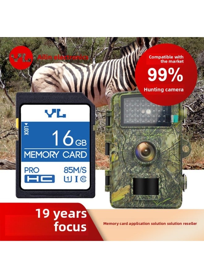 Youlin Memory Card 8GB Hunting Camera Infrared Camera Memory Card 16GB 32GB 64GB SD Card-Capacity:64GB