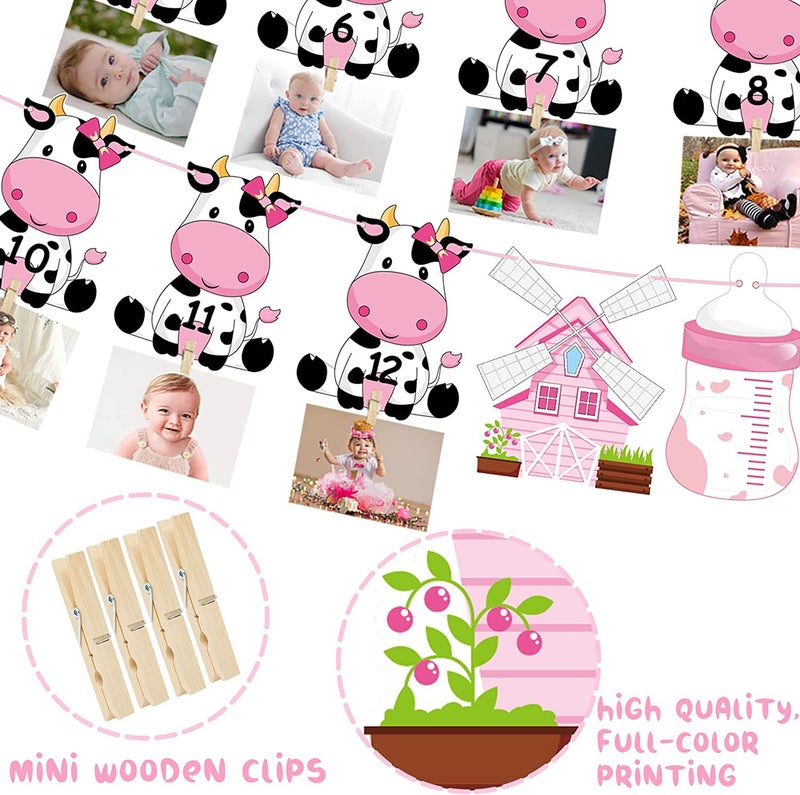 Festiko®Holy Cow First Birthday Party Decoration for Girls Pink Cow Theme 1st Birthday Photo Banner for Newborn to 12 Months for Baby Girls Farm Theme 1st Birthday Party Supplies - Image 3