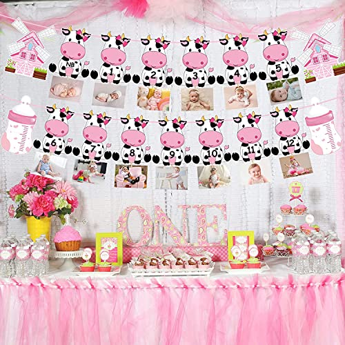 Festiko®Holy Cow First Birthday Party Decoration for Girls Pink Cow Theme 1st Birthday Photo Banner for Newborn to 12 Months for Baby Girls Farm Theme 1st Birthday Party Supplies - Image 5