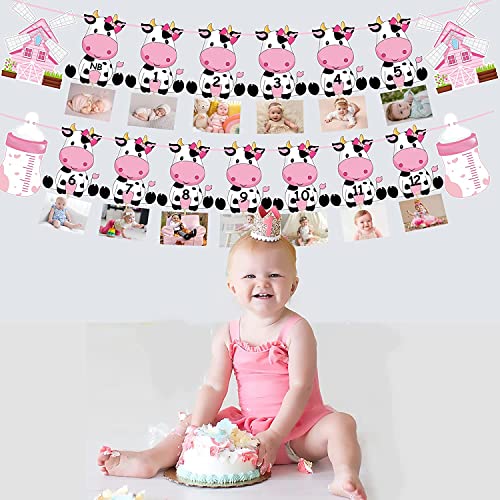 Festiko®Holy Cow First Birthday Party Decoration for Girls Pink Cow Theme 1st Birthday Photo Banner for Newborn to 12 Months for Baby Girls Farm Theme 1st Birthday Party Supplies - Image 4