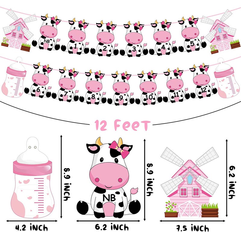 Festiko®Holy Cow First Birthday Party Decoration for Girls Pink Cow Theme 1st Birthday Photo Banner for Newborn to 12 Months for Baby Girls Farm Theme 1st Birthday Party Supplies - Image 2