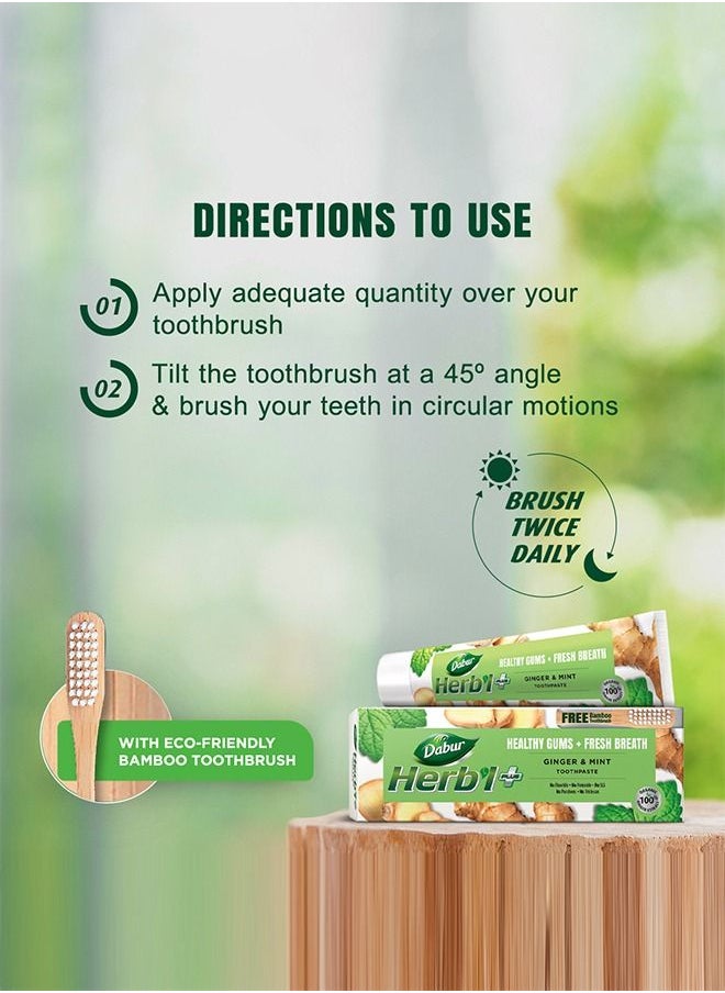 Dabur - Dabur Herb'l Plus Toothpaste - Ginger & Mint for Healthy Gums and Fresh Breath - 150gm with Free Bamboo Toothbrush - Image 1
