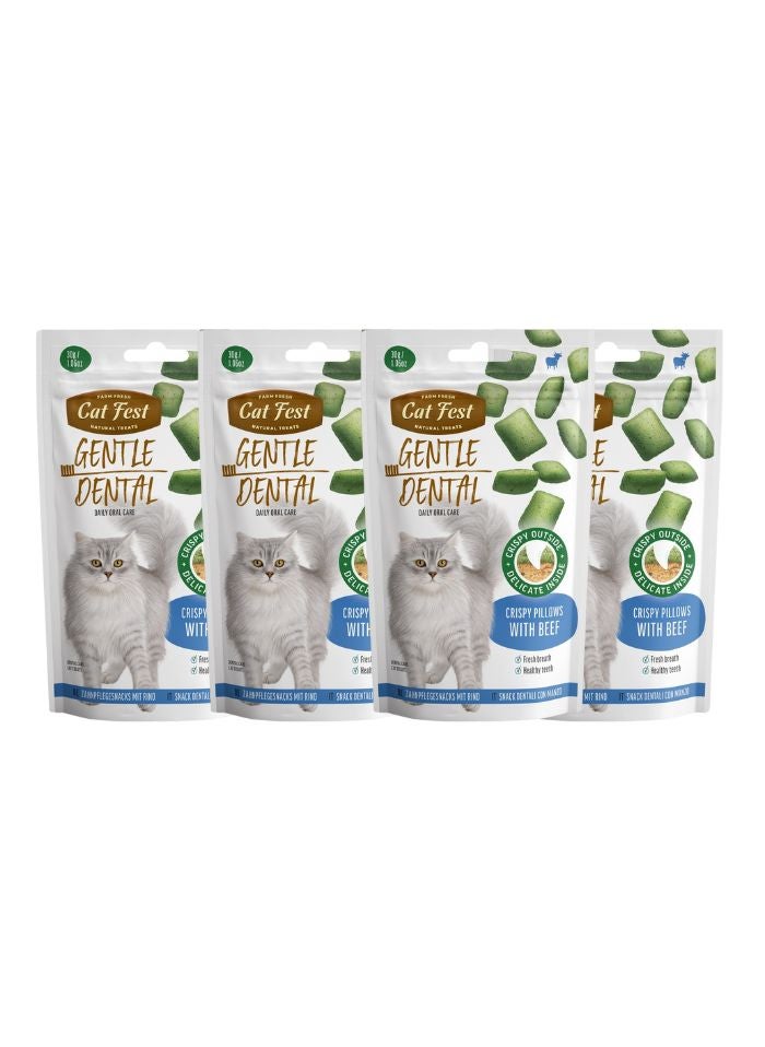 Cat Fest Dental Treats For Cats -Crispy Pillows -Beef 30g - Image 1