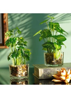 Arabest Creative Artificial Green Plant Four-Leaf Clover Simulation Potted Home Decoration Office Desk Eye-Catching Simulation Plant Bonsai  - Image 1