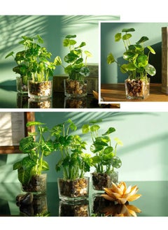 Arabest Creative Artificial Green Plant Four-Leaf Clover Simulation Potted Home Decoration Office Desk Eye-Catching Simulation Plant Bonsai  - Image 3