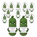 GIFTIARA 12Pcs Funny Pickle Emotional Support Crochet Doll Cute Crochet Cucumber Toy with Positive Card Cheer Up Dolls Gifts for Birthday Holiday Party - Image 3