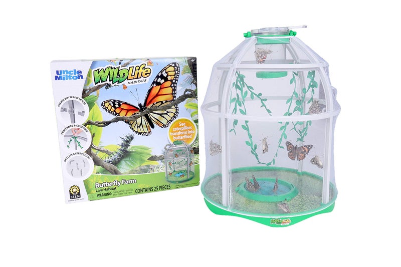 Uncle Milton Butterfly Farm Live Habitat - Observe Caterpillars Transform Into Butterflies, STEM Toy, Great Gifts for Boys & Girls Ages 6+ - Image 3