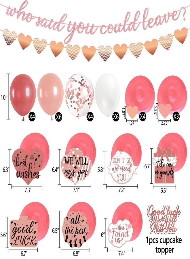 Freesdai Rose and Gold Goodbye Party Decorations for Coworker - Farewell Decor Balloons & "Who Said You Could Leave" Banner & Hanging Swirls & Cupcake Topper Going Away Supplies - Image 3