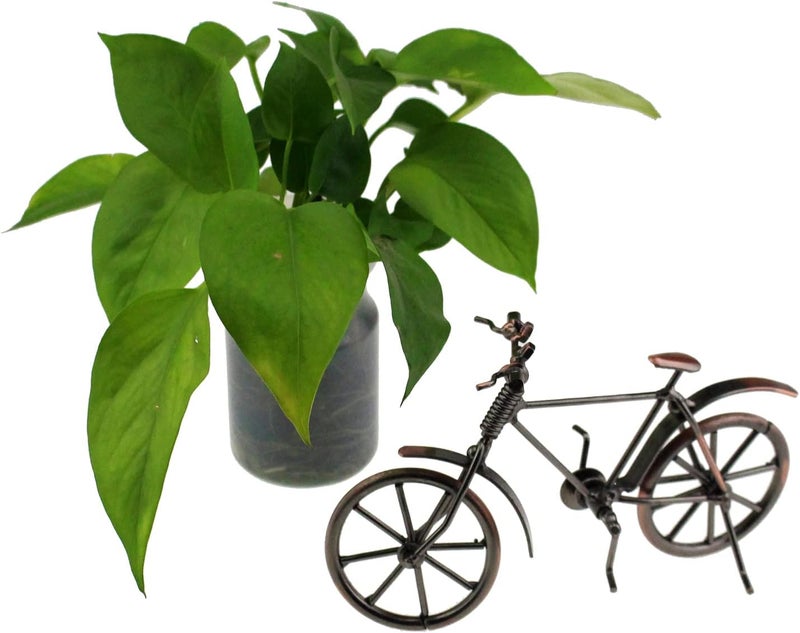 Tipmant Antique Vintage Bicycle Retro Iron Bike Model Office Home Décor Accents Room Desk Decoration Ornaments Handmade Handcrafts - Image 4