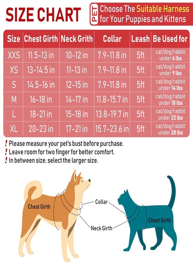 GAMUDA Small Dog Harness Collar and Leash Set, Step in No Chock No Pull Soft Mesh Adjustable Dog Vest Harnesses Plaid Reflective for Dogs Puppy Cats Kitten Rabbit (Red Flower, S) - Image 2