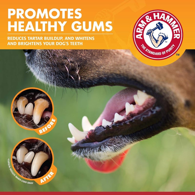 for Pets Clinical Care Enzymatic Toothpaste for Dogs | Soothes Inflamed Gums | Dog Toothpaste Enzymatic, Chicken Flavor, 2.5 Oz | Arm and Hammer Toothpaste for Dogs, Dog Dental Care - Image 2