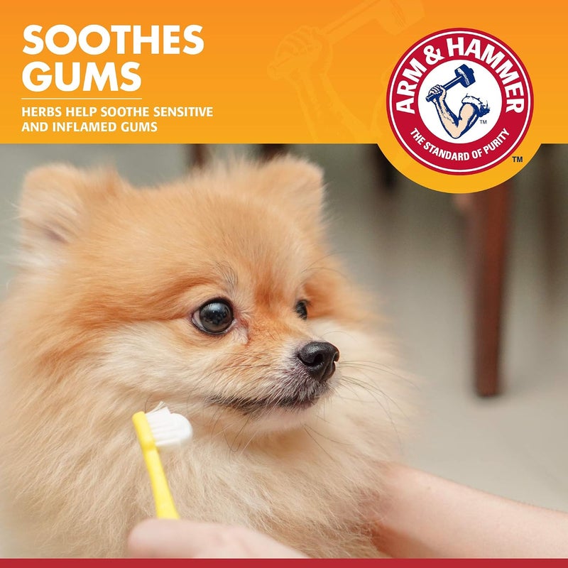 for Pets Clinical Care Enzymatic Toothpaste for Dogs | Soothes Inflamed Gums | Dog Toothpaste Enzymatic, Chicken Flavor, 2.5 Oz | Arm and Hammer Toothpaste for Dogs, Dog Dental Care - Image 3