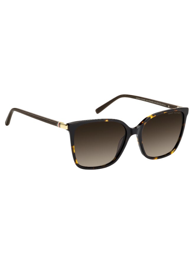 TOMMY HILFIGER TH 2349/S Sunglasses Multicolour Cat Eye - Image 2