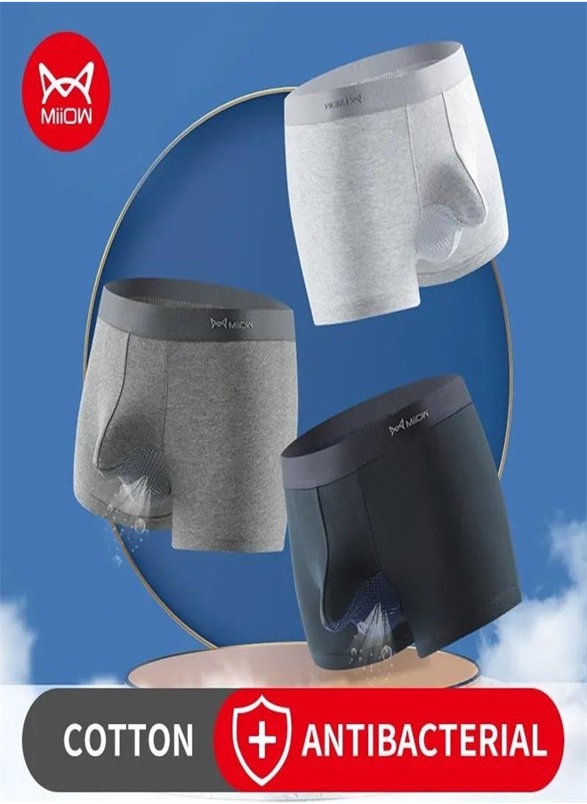 MIIOW - 3Pcs  Organic Cotton Boxers Shorts Underpants Soft Cotton Trunks Man Underwear Boxer Men Freegun Breathable Mesh Panty - Image 1
